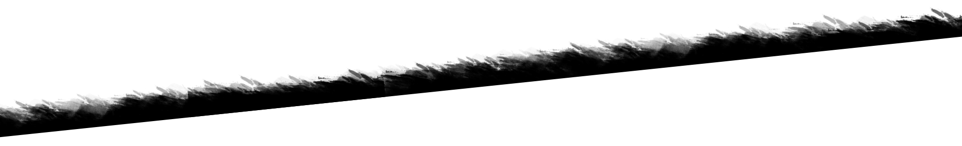 angled brush