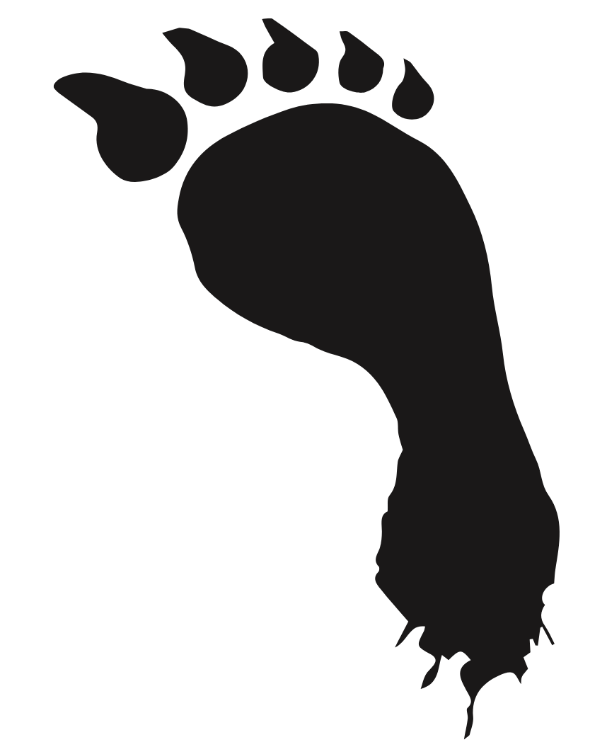 footprint